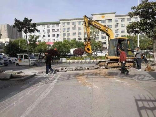 南阳学校爆料案件最新,真相揭开,校园安全再引关注